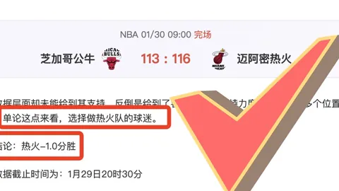 费德勒南美洲之旅安保简化：力求基本安全护航
