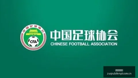 AI大模型布局足球即时比分：董秘详解公司自研产品战略